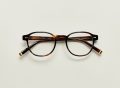 arthur-color-tortoise-pos-2.jpg
