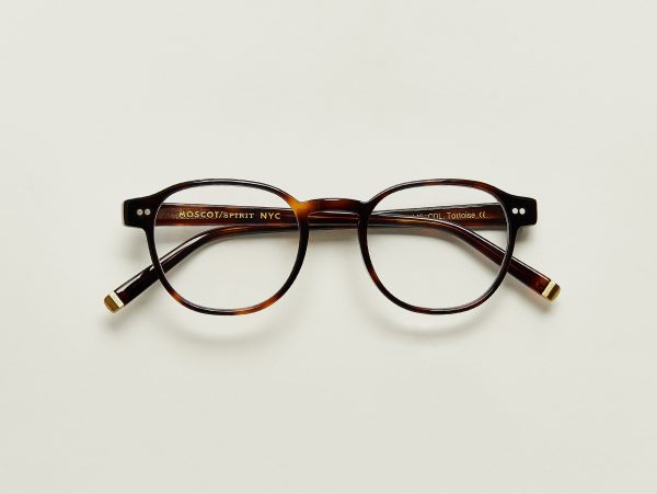 arthur-color-tortoise-pos-2.jpg