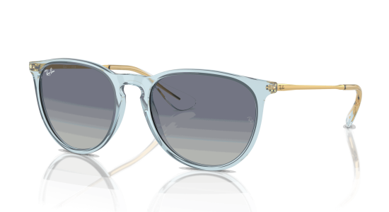 RayBan ERIKA CLASSIC