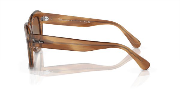raybanstatestreet_0RB2186__140351__P21__shad__lt_79701a97-8c8e-405c-87ab-03dfd83db27d-1-scaled-1.png