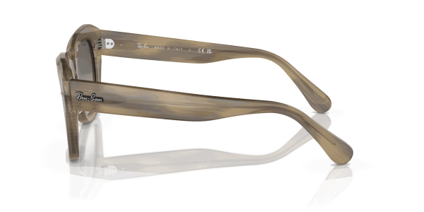 raybanstatestreet_0RB2186__140571__P21__shad__lt_b3503068-f1b7-4e5a-8090-08bf78219322-1-scaled-1.png