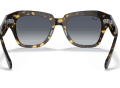raybanstatestreetfleck_0RB2186__133286__STD__shad__bk_906be9da-5f89-461b-80f6-b4c43c195df6-1-scaled-1.png