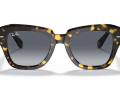 raybanstatestreetfleck_0RB2186__133286__STD__shad__fr_c7924bd4-68cb-47ef-beeb-d0e3a17d3e97-1-scaled-1.png