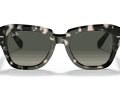raybanstatestreetfleck_0RB2186__133371__STD__shad__fr_a870fb00-f71d-45eb-9ec5-a9612372909e-scaled-1.png
