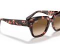 raybanstatestreetfleck_0RB2186__133451__STD__shad__al2_a4375d70-1411-49c4-9038-7b661a539cbf-1-scaled-1.png
