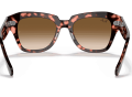 raybanstatestreetfleck_0RB2186__133451__STD__shad__bk_c8e23372-1522-43ba-8ed3-a4537709c2d0-1-scaled-1.png