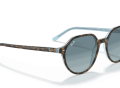raybanthalia_0RB2195__13163M__STD__shad__al2_062af3c2-5baf-483b-85d1-3b3f52dd521f-scaled-1.png
