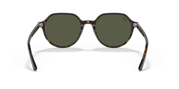 raybanthalia_0RB2195__902_31__STD__shad__bk_b5e6a286-fe5c-421b-89bc-07fff35f8079-scaled-1.png