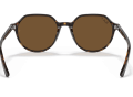 raybanthalia_0RB2195__902_57__STD__shad__bk-scaled-1.png