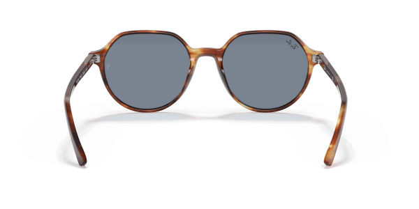 raybanthalia_0RB2195__954_62__STD__shad__bk-scaled-1.png