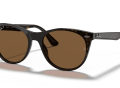 raybanwayfareriiclassic_0RB2185__902_57__STD__shad__qt-scaled-1.png