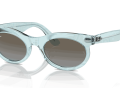 raybanwayfarerovalchange_0RB2242__138596__P21__shad__qt_f247aaff-0101-4c52-ad54-77f30ea774b3-scaled-1.png