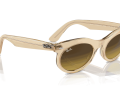 raybanwayfarerovalchange_0RB2242__138685__P21__shad__al2_d3c80e4d-abc8-4c62-94d4-6161cff203bd-scaled-1.png