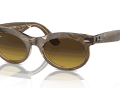 raybanwayfarerovalchange_0RB2242__138685__P21__shad__al3_ffa5dfac-d44b-42d4-b389-ec62c1984659-scaled-1.png
