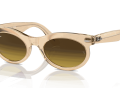 raybanwayfarerovalchange_0RB2242__138685__P21__shad__qt_a33d0485-6e61-4b99-bf36-311b3f38840e-scaled-1.png
